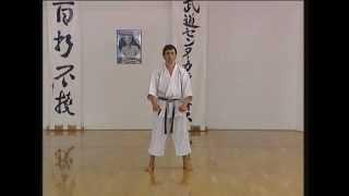 Unsu - Efthimios Karamitsos - Karate - Kata - Shotokan