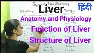 Liver! Anatomy and Physiology of Liver! Function of Liver! Structure of liver!