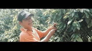 SMEs PRODUCT FROM NORTH SULAWESI PROVINCE INDONESIA : REDO COFFEE