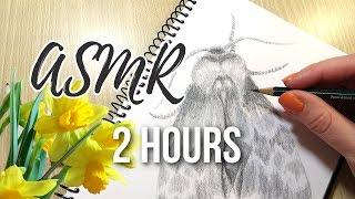 Two Hours of Pencil Drawing ASMR || No Talking