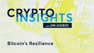 Crypto Insights: Bitcoin’s Resilience