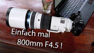 Was kann das beste und teuerste MFT Objektiv? OM 150-400 F4.5 TEST