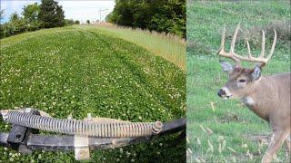 Clover food plot maintenance, spring spraying land management secrets