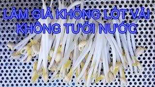 Kinh Nghiệm Làm Giá Không Tưới Nước Không Lót Vải - Homemade Mung Bean Sprout without Watering