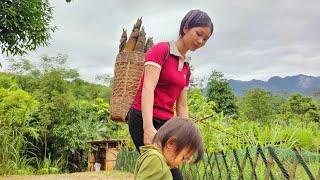 Picking and selling bamboo shoots, cooking and raising animals, daily life | La Thị Lan