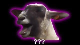 15 Screaming Goat Sound Variations in 30 Seconds