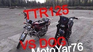 IRBIS TTR-125 VS ANGRY DOG