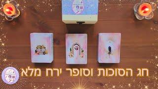 מידעים גבוהים לחג הסוכות- תודה למלאכים