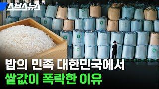 폭락한 쌀값 올리려고 쌀로 밀가루까지 만드는 한국 / 스브스뉴스