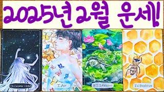 [타로]2025년 2월 운세!꼭 봐주세요!️
