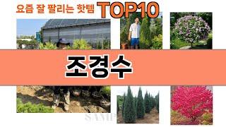 가장 많이 팔린 조경수 추천 Top10!