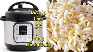 Độc lạ, cách mới. Làm giá bằng nồi áp suất, giá ngọt, trắng nõn, mập ú, không khăn, không lót giấy