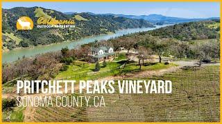 Pritchett Peaks Vineyard | Sonoma County, CA