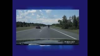 Русские медведи - Russian bears on the roads