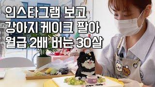 선생님 그만두고 강아지 케이크 만들었더니 직장 월급 2배버는 30살 여사장님