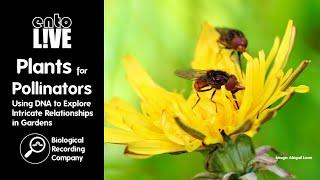 Plants for Pollinators: Using DNA to Explore Relationships in Gardens