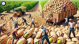 90 Most Satisfying Agriculture Technology |99 Amazing Harvest & Processing Moments to Blow Your Mind