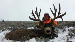 244" Colorado Mule Deer Hunt - Guinn Crousen - Muley Connection