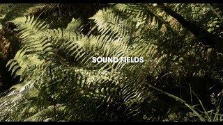 Sound Fields: Adventures in contemporary field recording