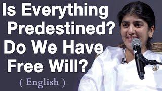 Is Everything Predestined? Do We Have Free Will?: Part 1: BK Shivani (English)