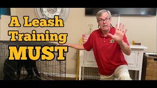 German Shepherd Puppy LEASH TRAINING...know THIS!!!