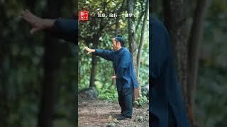 武当八卦掌第19集掌法教学（9）第8掌（Wudang Kungfu Bagua Palm Teaching）