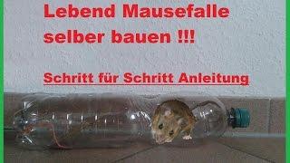 DIY Mausefalle & Rattenfalle aus Flasche bauen / Lebendfalle - Mäusefalle selber machen / Anleitung