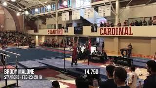 Stanford Men's Gymnastics Feb-23-2019 High Bar