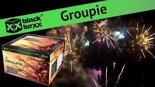 Blackboxx - Groupie