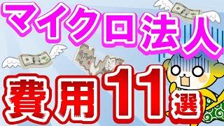 【盲点】マイクロ法人で必要な費用11選