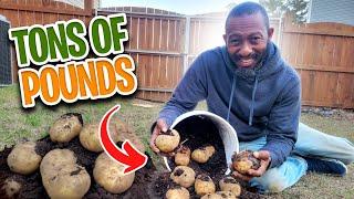 How to Grow Potatoes?