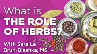 The Role of Herbs for our Immune System | Wholistic Matters Podcast | Special Series