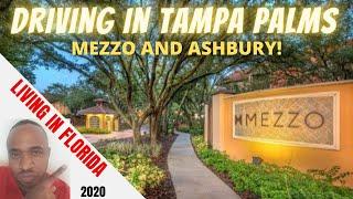 Mezzo Apartment and Ashbury Driving in Tampa Palms | Tampa Florida Move