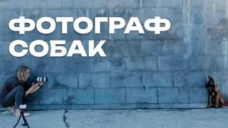 Работа и заработок фотографа собак - Фотограф-Анималист - Интервью #зообизнес