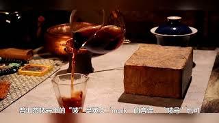 中茶普洱茶7541是什么意思