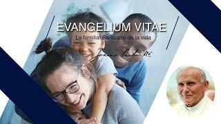 Evangelium Vitae: La familia. Santuario de la vida