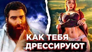 ТЕБЯ ДРЕССИРУЮТ | АРСЕН МАРКАРЯН