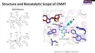 Abigail Herbert – Engineering methyltransferases for use as synthetic tools