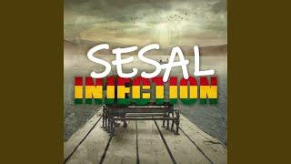 Sesal