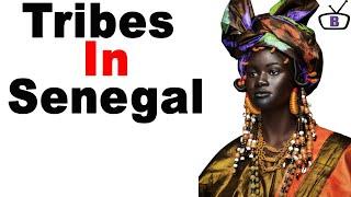 Major ethnic groups in Senegal and their peculiarities