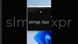 Как узнать версию Windows и активирован ли он