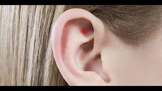 ESSENTIAL EAR ACUPOINTS 01: Shenmen (Spirit Gate, Divine Gate)