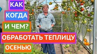 ОБРАБАТЫВАЕМ И ЗАКРЫВАЕМ ТЕПЛИЦУ ПРАВИЛЬНО!