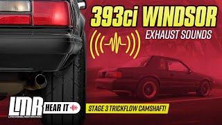 393ci Windsor Stroker Exhaust Sound Clips w/ Trickflow Stage 3 Cam | 1988 Fox Body Mustang Coupe