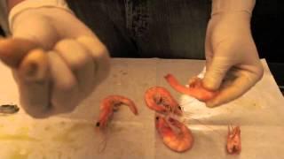 How to peel and eat shrimp