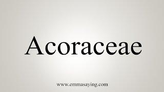How To Say Acoraceae