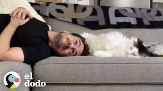 Chico cae en un "amor tóxico" con su gato acosador | El Dodo