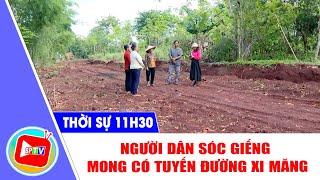 [Trực tiếp] - Thời sự Bình Phước trưa 26-5-2025