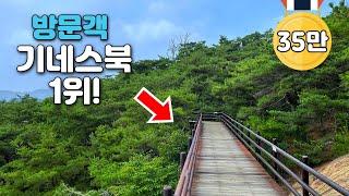 10-min subway to Korea's record-breaking 5.2km hike | Public transit day trip