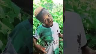 dogo vevo ft clam vevo